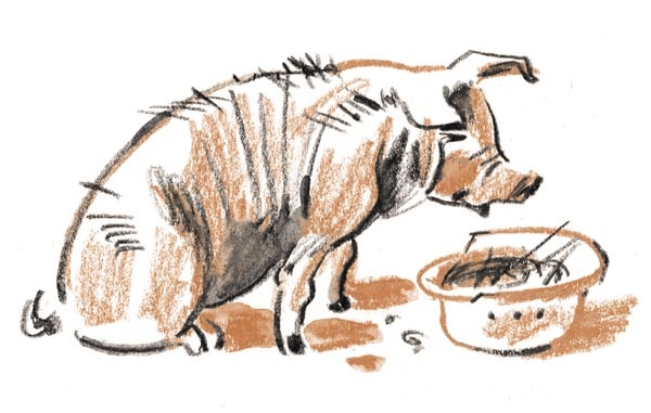 Иллюстрация к книге — Когда я был маленьким, у нас была война [i_030.jpg]