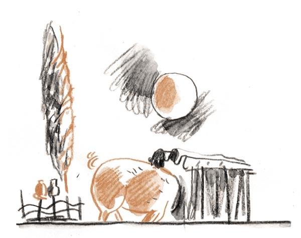 Иллюстрация к книге — Когда я был маленьким, у нас была война [i_033.jpg]