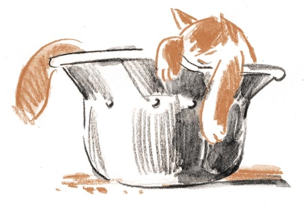 Иллюстрация к книге — Когда я был маленьким, у нас была война [i_063.jpg]