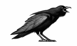 Иллюстрация к книге — Ворон [i_008.jpg]