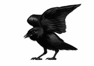 Иллюстрация к книге — Ворон [i_009.jpg]