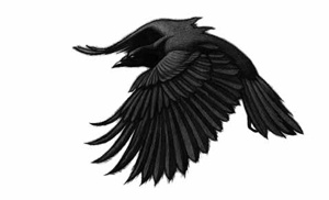 Иллюстрация к книге — Ворон [i_012.jpg]