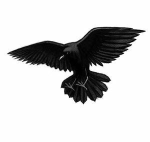 Иллюстрация к книге — Ворон [i_013.jpg]