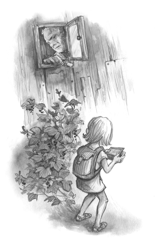 Иллюстрация к книге — Домик над обрывом [i_001.jpg]