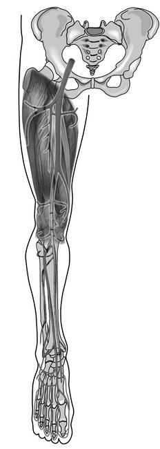 Иллюстрация к книге — Вся правда о женском здоровье. Как избежать опасных проблем [i_138.jpg]