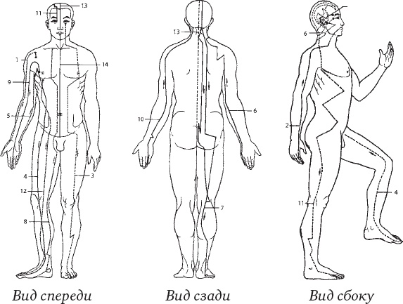 Иллюстрация к книге — Ба-Дуань-Цзинь (Восемь кусков парчи) [_30.jpg]