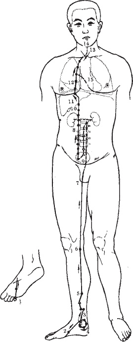 Иллюстрация к книге — Ба-Дуань-Цзинь (Восемь кусков парчи) [_54.jpg]