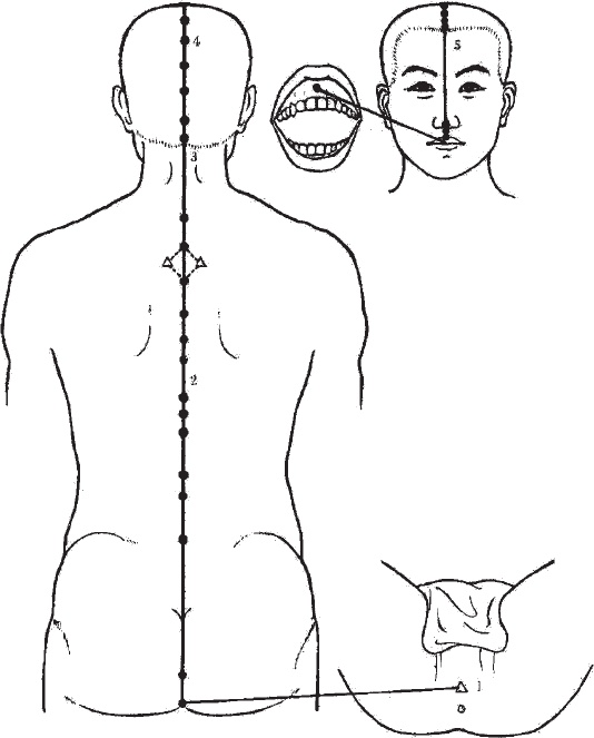 Иллюстрация к книге — Ба-Дуань-Цзинь (Восемь кусков парчи) [_65.jpg]