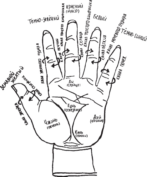 Иллюстрация к книге — Чань-Ми-Гун Цигун [_111.jpg]