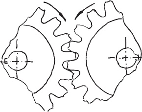 Иллюстрация к книге — Черно-белое Рэй-Ки [_22.jpg]