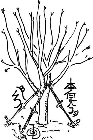 Иллюстрация к книге — Черно-белое Рэй-Ки [_5.jpg]