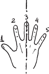 Иллюстрация к книге — Это Настоящий &quot;Красный цветок&quot;, а не Ци-Гун &quot;99 пальцев&quot; [_22.jpg]