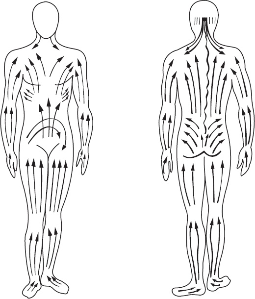 Иллюстрация к книге — Справочник по лечебному массажу и самомассажу. От диагноза к лечению [_1.jpg]
