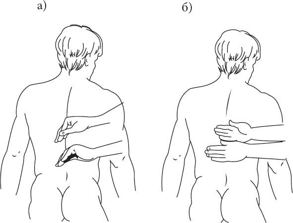 Иллюстрация к книге — Справочник по лечебному массажу и самомассажу. От диагноза к лечению [_15.jpg]