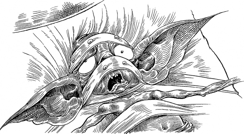 Иллюстрация к книге — Хроники Края. Громобой [i_070.jpg]