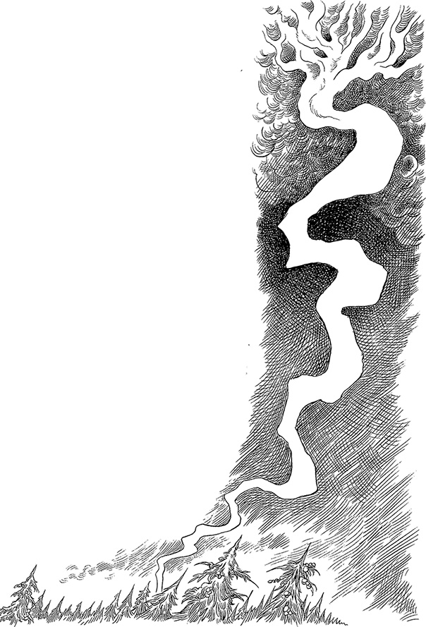 Иллюстрация к книге — Хроники Края. Громобой [i_086.jpg]