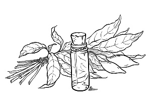 Иллюстрация к книге — Черный байкер [i_005.jpg]