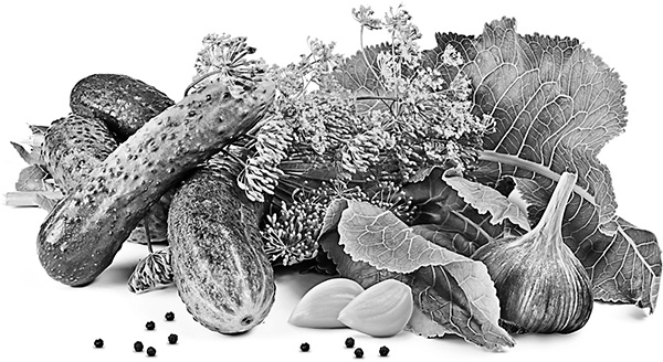 Иллюстрация к книге — Консервирование для всех, кому за… Быстрые и проверенные рецепты [block_001256_page_145_image_0001.jpg]