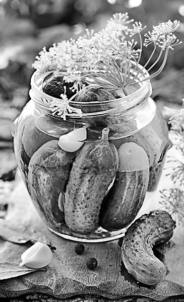 Иллюстрация к книге — Консервирование для всех, кому за… Быстрые и проверенные рецепты [block_001256_page_155_image_0001.jpg]