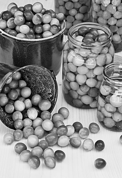 Иллюстрация к книге — Консервирование для всех, кому за… Быстрые и проверенные рецепты [block_001256_page_206_image_0001.jpg]