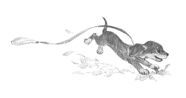 Иллюстрация к книге — Щенок Тоби, или Старший друг [i_001.jpg]