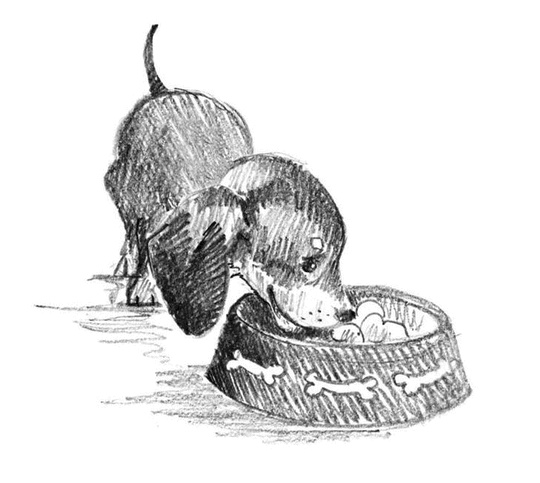 Иллюстрация к книге — Щенок Тоби, или Старший друг [i_007.jpg]