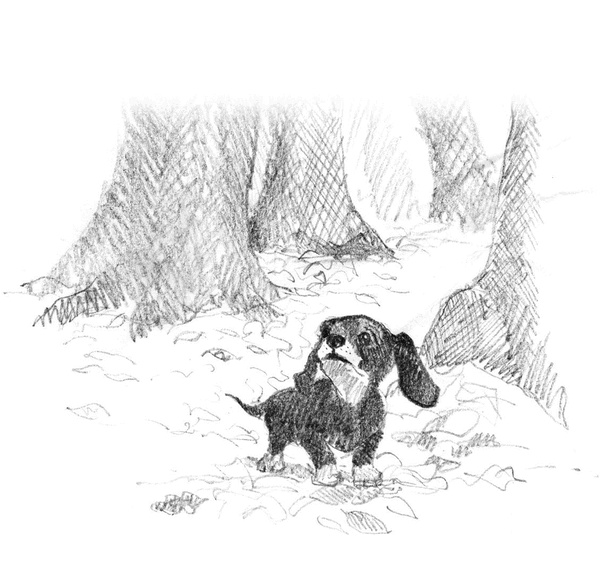 Иллюстрация к книге — Щенок Тоби, или Старший друг [i_019.jpg]