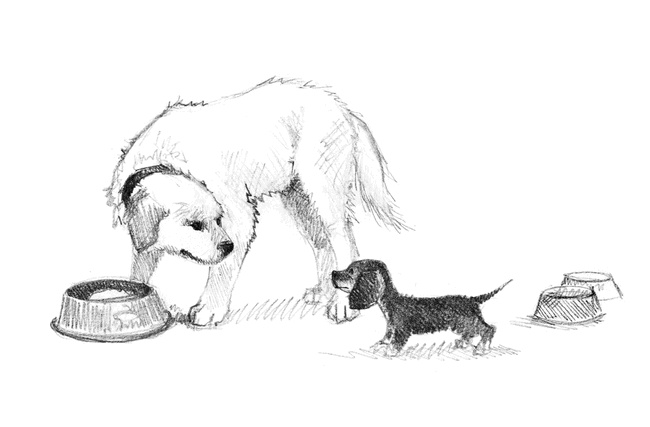 Иллюстрация к книге — Щенок Тоби, или Старший друг [i_023.jpg]