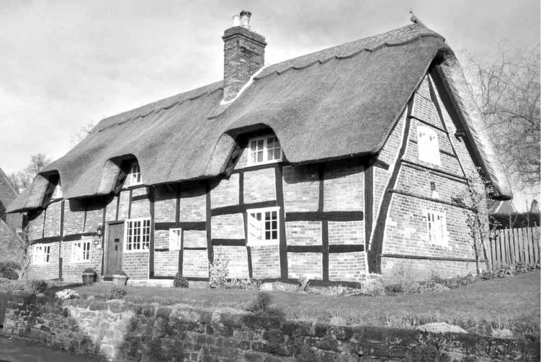 Иллюстрация к книге — Эпоха открытий. Возможности и угрозы второго Ренессанса [i_018.jpg]