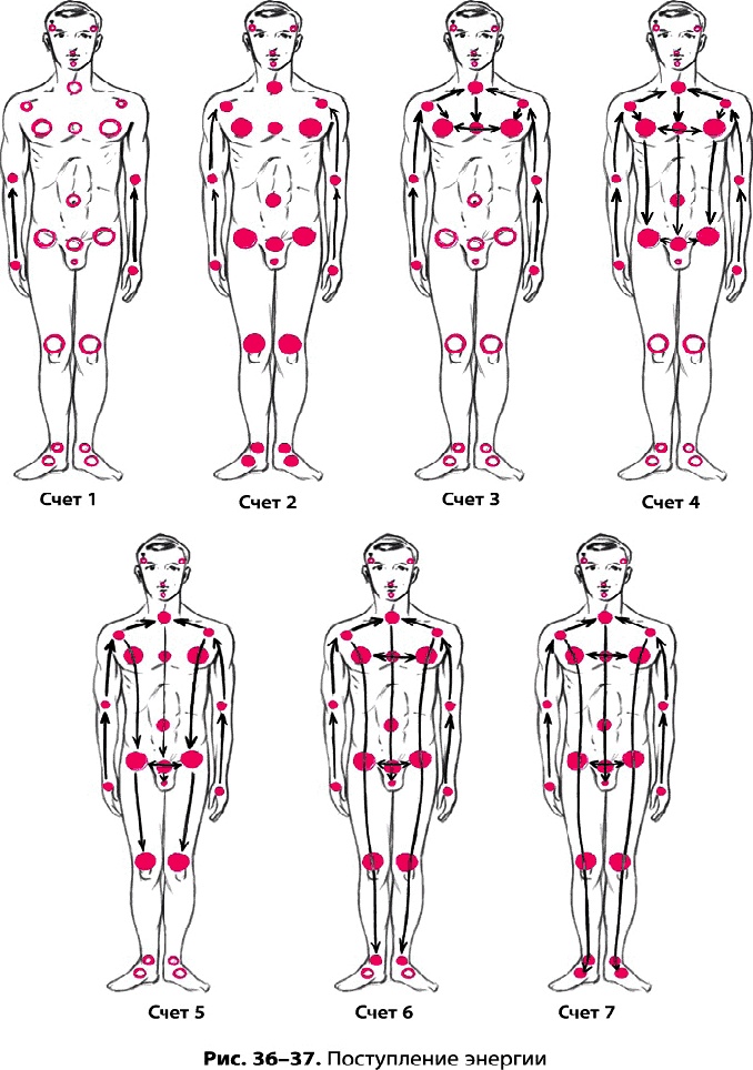Иллюстрация к книге — Тайное знание не для всех. Секреты целителя [_0249.jpg]