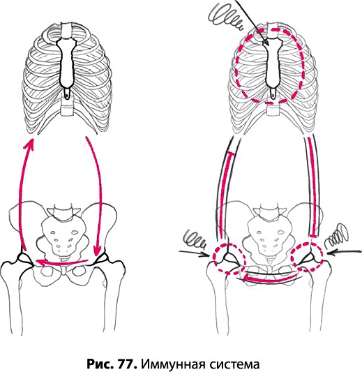 Иллюстрация к книге — Тайное знание не для всех. Секреты целителя [_0541.jpg]