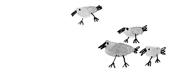 Иллюстрация к книге — Дневник кота-убийцы. Все истории (сборник) [i_007.jpg]