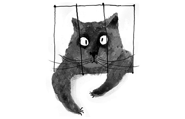 Иллюстрация к книге — Дневник кота-убийцы. Все истории (сборник) [i_008.jpg]