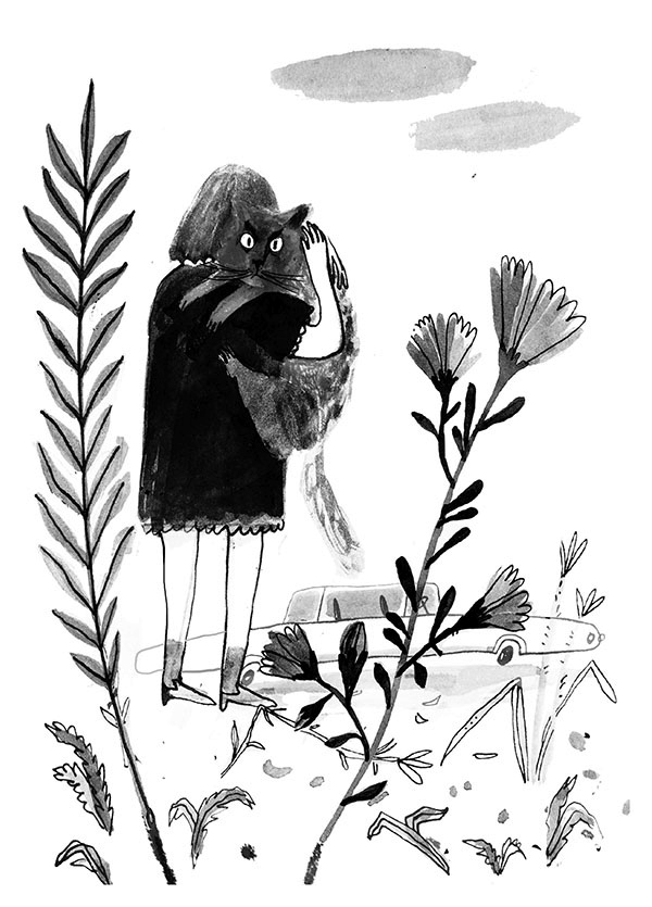 Иллюстрация к книге — Дневник кота-убийцы. Все истории (сборник) [i_014.jpg]