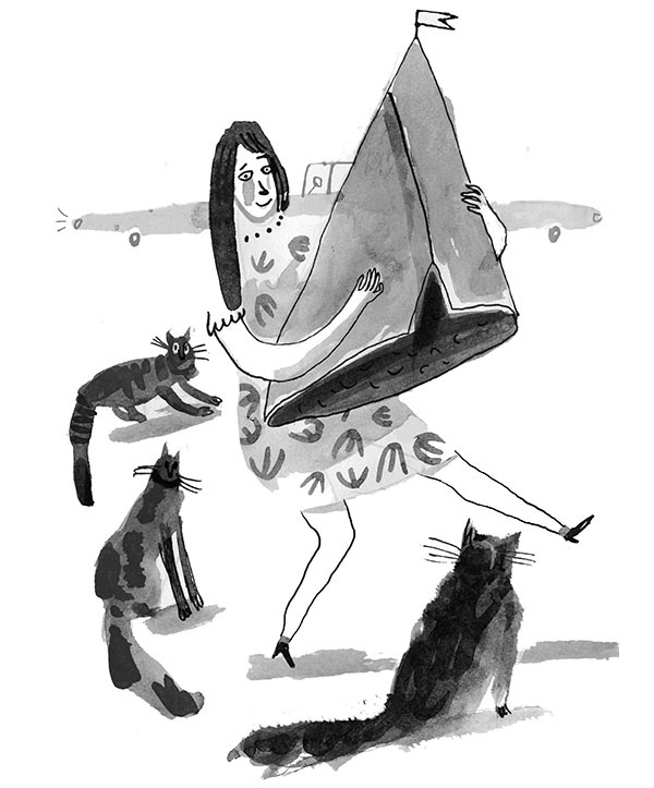 Иллюстрация к книге — Дневник кота-убийцы. Все истории (сборник) [i_028.jpg]