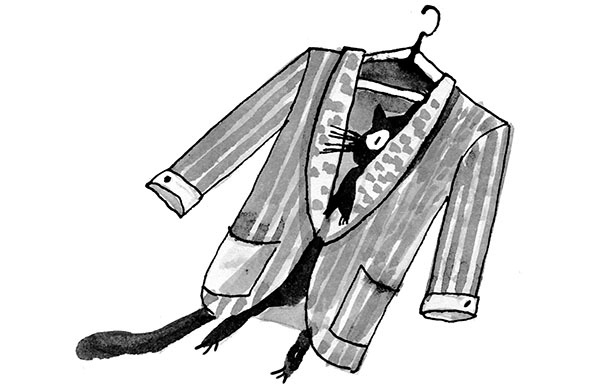 Иллюстрация к книге — Дневник кота-убийцы. Все истории (сборник) [i_033.jpg]