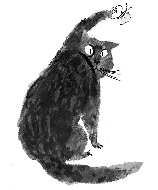 Иллюстрация к книге — Дневник кота-убийцы. Все истории (сборник) [i_039.jpg]