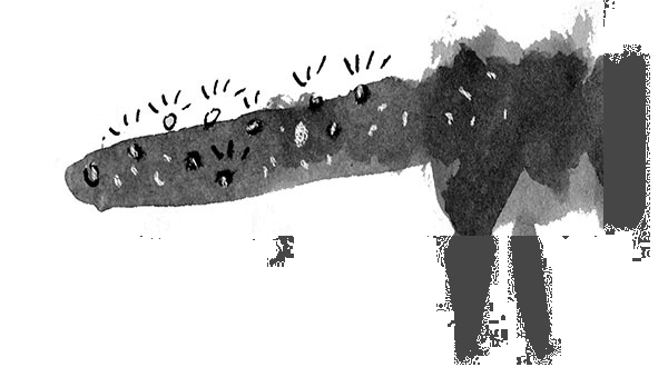 Иллюстрация к книге — Дневник кота-убийцы. Все истории (сборник) [i_041.jpg]