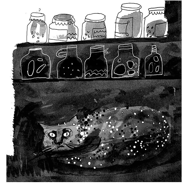 Иллюстрация к книге — Дневник кота-убийцы. Все истории (сборник) [i_043.jpg]