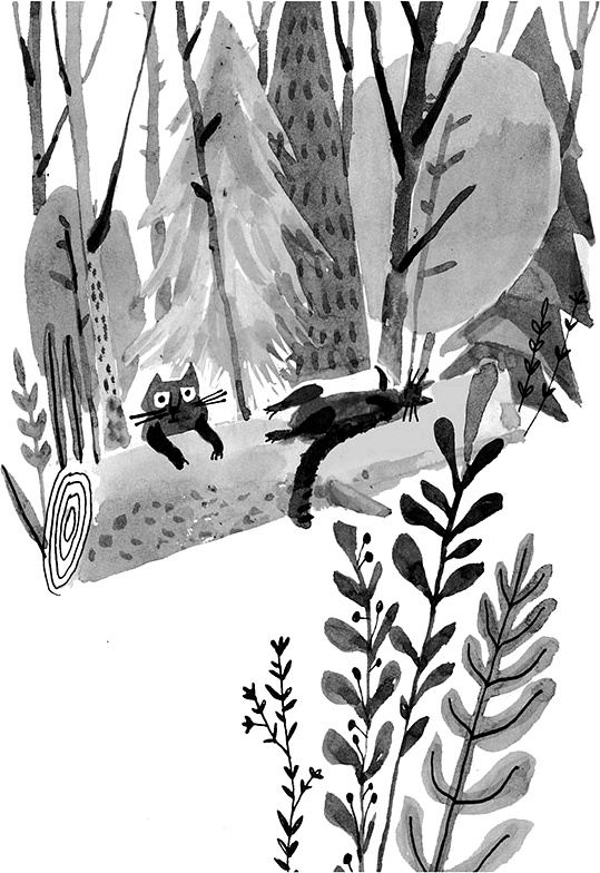 Иллюстрация к книге — Дневник кота-убийцы. Все истории (сборник) [i_054.jpg]