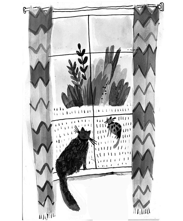 Иллюстрация к книге — Дневник кота-убийцы. Все истории (сборник) [i_056.jpg]