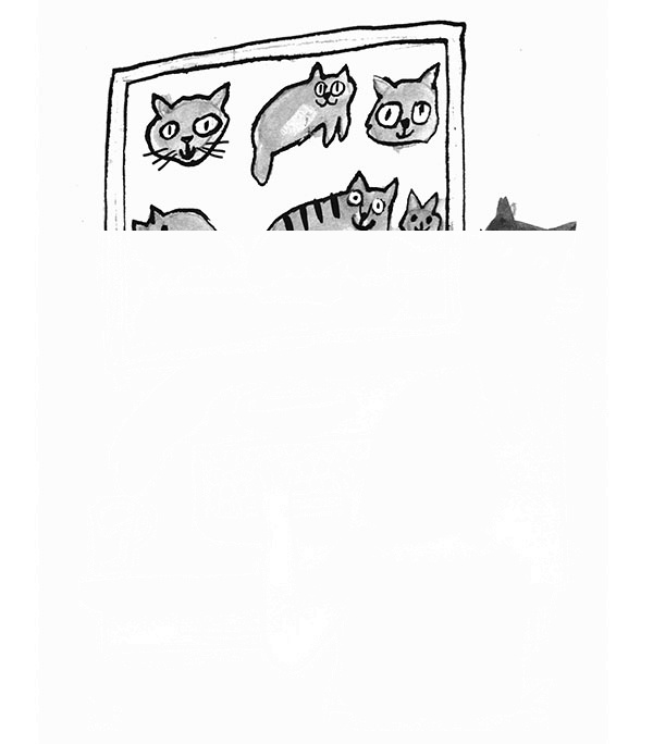 Иллюстрация к книге — Дневник кота-убийцы. Все истории (сборник) [i_064.jpg]