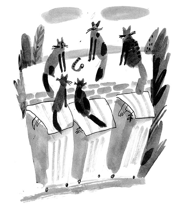 Иллюстрация к книге — Дневник кота-убийцы. Все истории (сборник) [i_076.jpg]