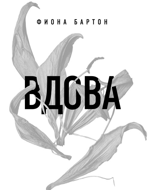 Иллюстрация к книге — Вдова [_1.jpg]