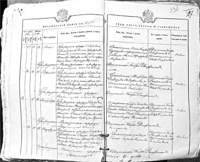 Иллюстрация к книге — Александр Кучин. Русский у Амундсена [i_003.jpg]