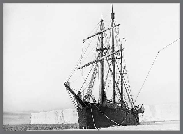 Иллюстрация к книге — Александр Кучин. Русский у Амундсена [i_034.jpg]