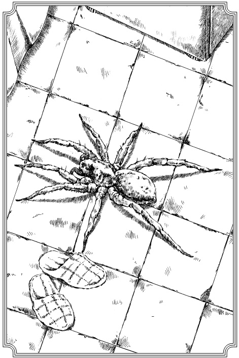 Иллюстрация к книге — Прыжок под венец [i_004.jpg]