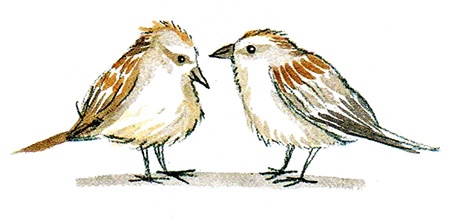 Иллюстрация к книге — Мой папа - птиц [i_024.jpg]