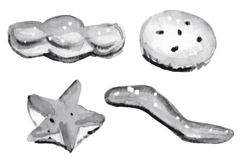 Иллюстрация к книге — Рецепты для здоровья и долголетия от Ольги Мясниковой [i_024.jpg]