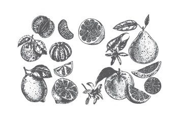 Иллюстрация к книге — Рецепты для здоровья и долголетия от Ольги Мясниковой [i_034.jpg]